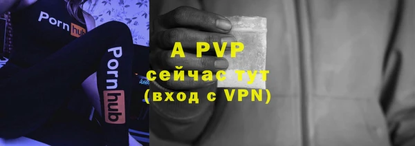 ешки Белокуриха