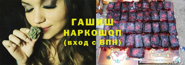 ешки Белокуриха