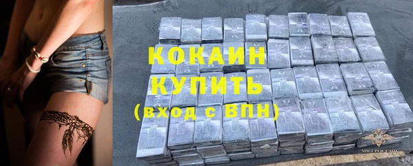 ешки Белокуриха